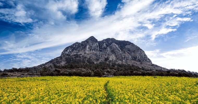 Best 5 tourist attractions in Jeju Island, South Korea